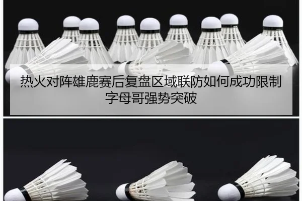热火对阵雄鹿赛后复盘区域联防如何成功限制字母哥强势突破