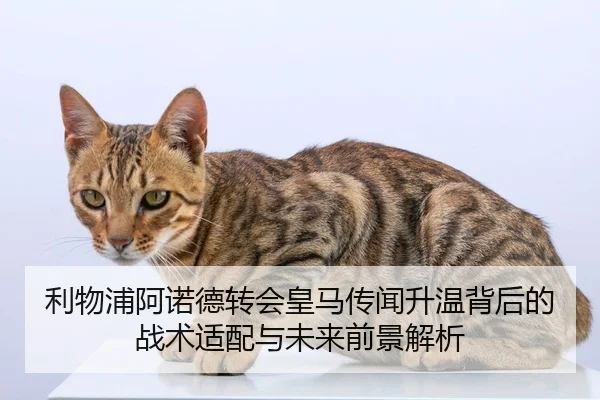 利物浦阿诺德转会皇马传闻升温背后的战术适配与未来前景解析