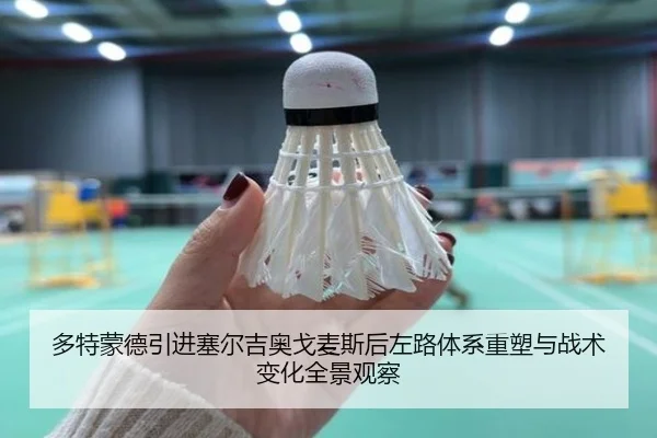 多特蒙德引进塞尔吉奥戈麦斯后左路体系重塑与战术变化全景观察