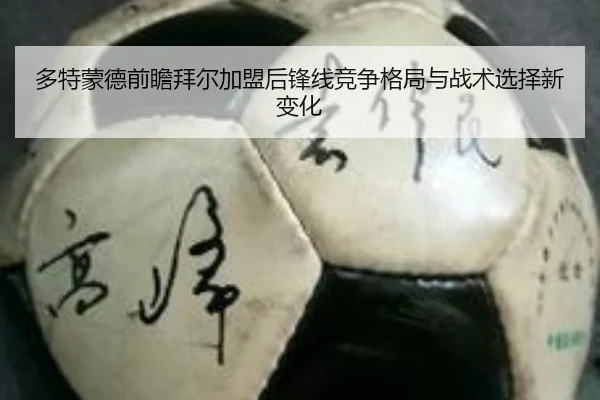 多特蒙德前瞻拜尔加盟后锋线竞争格局与战术选择新变化